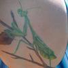 9602 - Tattoo Failure
