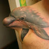 33157 - Tattoo Failure