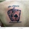 78415 - Popular Pics of Funny Tattoos - 33