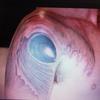 Tattoofailure-com-0940a8