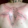 10228 - Tattoo Failure