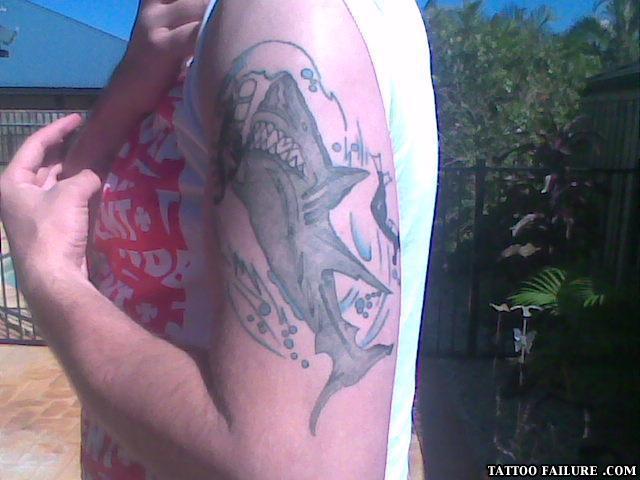 Shark2