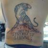 42348 - Tattoo Failure