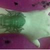 24326 - Popular Pics of Funny Tattoos - 18