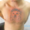 8358 - Tattoo Failure