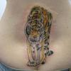 20982 - Tattoo Failure