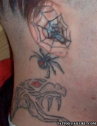Spider