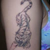 27511 - Tattoo Failure