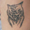 8449 - Tattoo Failure