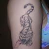 8449 - Tattoo Failure