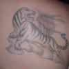 8355 - Tattoo Failure