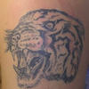 8345 - Tattoo Failure